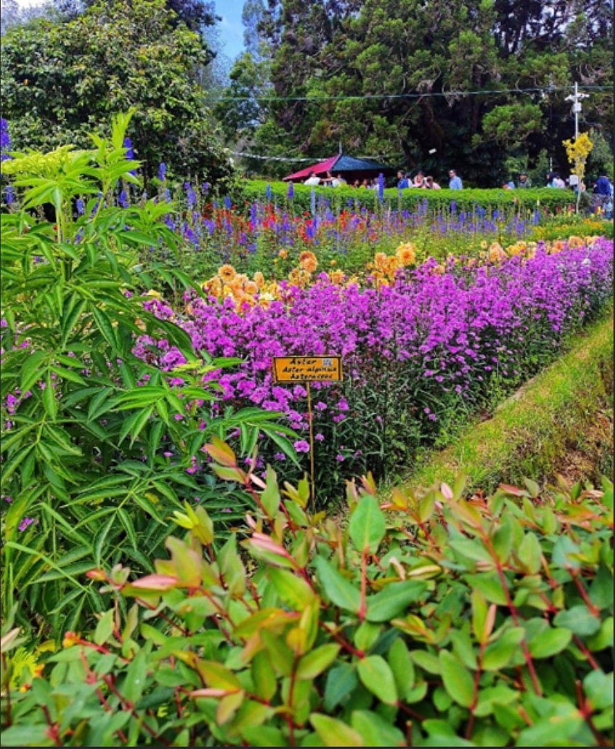 In May, the park hosts the annual flower show